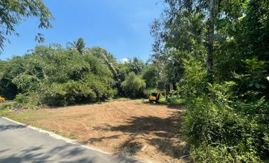 PASTI UNTUNG! Tanah Area Pemda Harga Hemat