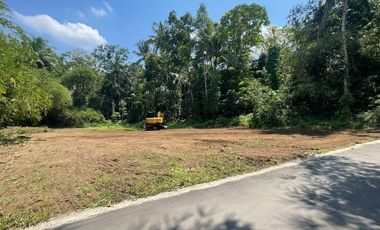 PASTI UNTUNG! Tanah Area Pemda Harga Hemat