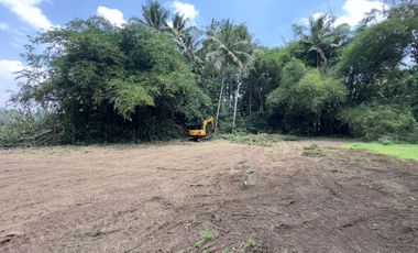 PASTI UNTUNG! Tanah Area Pemda Harga Hemat