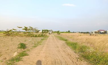 Tanah Kavling Dekat PT Jia Wei Di Desa Padakaton Ketanggungan Brebes