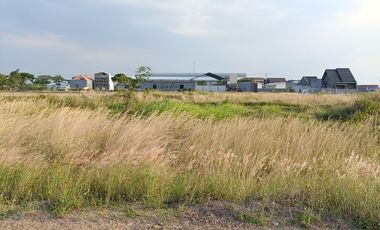 Tanah Kavling Dekat PT Jia Wei Di Desa Padakaton Ketanggungan Brebes