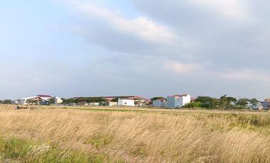 Tanah Kavling Dekat PT Jia Wei Di Desa Padakaton Ketanggungan Brebes