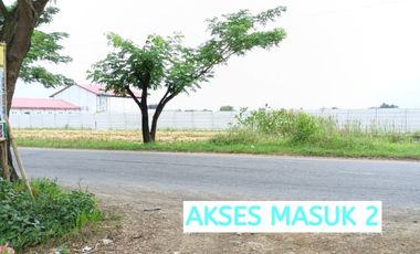 Tanah Kavling Dekat PT Jia Wei Di Desa Padakaton Ketanggungan Brebes