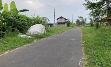 2 JUTAAN Tanah Palagan View Sawah Cocok Bangun Villa di Jogja, SHM