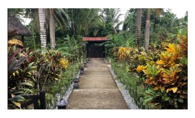 Oportunidad Irrepetible: Hotel de Lujo Llave en Mano en la Mejor Playa de Bocas del Toro