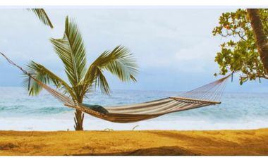 Oportunidad Irrepetible: Hotel de Lujo Llave en Mano en la Mejor Playa de Bocas del Toro