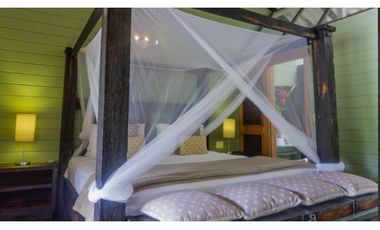 Oportunidad Irrepetible: Hotel de Lujo Llave en Mano en la Mejor Playa de Bocas del Toro