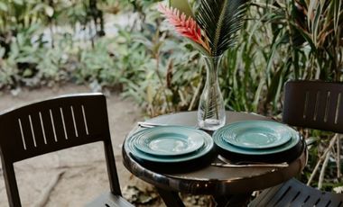 Exclusiva Propiedad Frente al Mar en Bocas del Toro: Un Refugio de Lujo con Potencial de Inversión