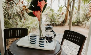 Exclusiva Propiedad Frente al Mar en Bocas del Toro: Un Refugio de Lujo con Potencial de Inversión