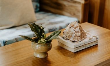 Exclusiva Propiedad Frente al Mar en Bocas del Toro: Un Refugio de Lujo con Potencial de Inversión