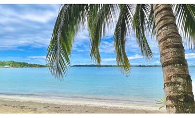 Exclusiva Propiedad Frente al Mar en Bocas del Toro: Un Refugio de Lujo con Potencial de Inversión