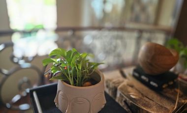 Exclusiva Residencia de Lujo en Costa del Este: Amplitud, Elegancia y Confort