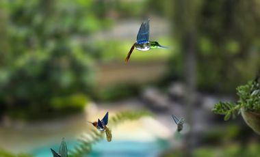 Exclusiva Residencia de Lujo en Costa del Este: Amplitud, Elegancia y Confort