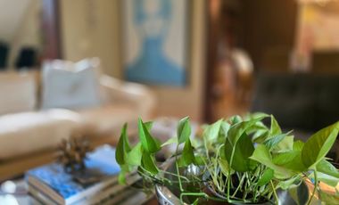 Exclusiva Residencia de Lujo en Costa del Este: Amplitud, Elegancia y Confort