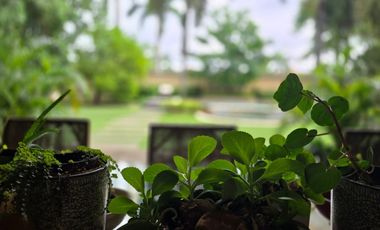 Exclusiva Residencia de Lujo en Costa del Este: Amplitud, Elegancia y Confort