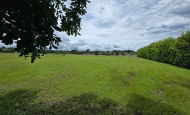 Increible lote con 80 mts lineales de vista sobre el lago en Buenaventura