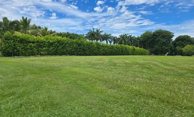 Increible lote con 80 mts lineales de vista sobre el lago en Buenaventura