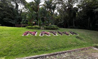 CASA DE ESQUINA EN PH NATIVA REMODELADA CON SISTEMA DE DOMOTICA.