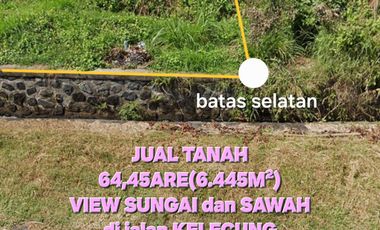 Jual TANAH view Sungai dan Sawah, dkt pantai KELECUNG Tabanan Bali