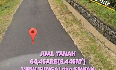 Jual TANAH view Sungai dan Sawah, dkt pantai KELECUNG Tabanan Bali