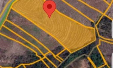 Jual tanah 6445m2 tegal megkeb tabanan