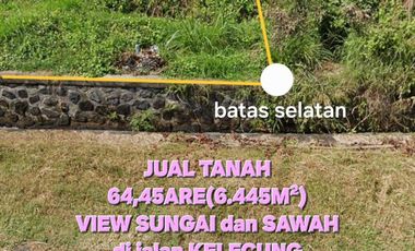 Jual tanah 6445m2 tegal megkeb tabanan