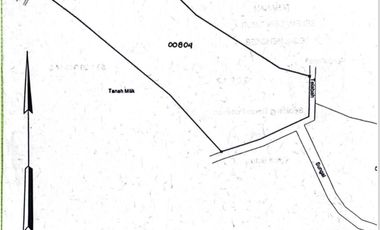 Jual tanah 6445m2 tegal megkeb tabanan