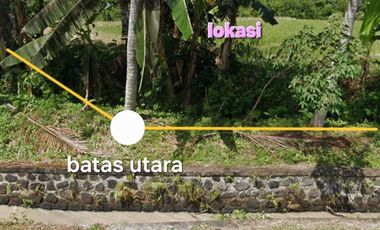 Jual tanah 6445m2 tegal megkeb tabanan