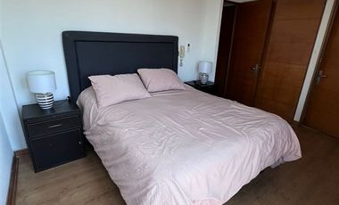 Departamento en Arriendo en Diego de Velásquez/ Av. Nueva Providencia
