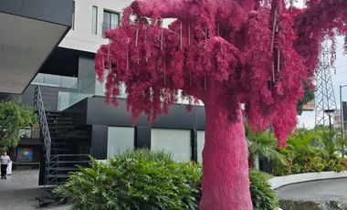 Departamento en renta Av. Tepeyac y Patria Octana Living