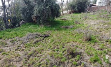 FRENTE A REGIMIENTO DE LOS ANDES