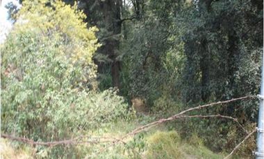 San Lorenzo ACOPILCO