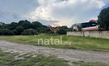 TERRENO HARAS BOSQUE CRUZ SABINOS PUEBLA VENTA