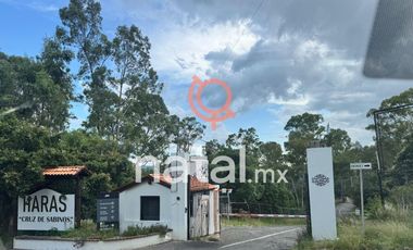 TERRENO HARAS BOSQUE CRUZ SABINOS PUEBLA VENTA