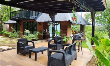 VENTA DE FINCA EN BUENOS AIRES, PANAMA OESTE (6)