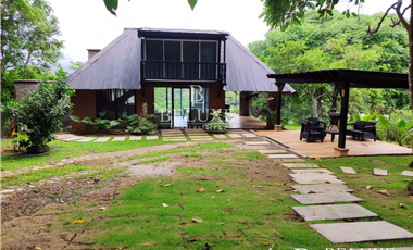 VENTA DE FINCA EN BUENOS AIRES, PANAMA OESTE (6)