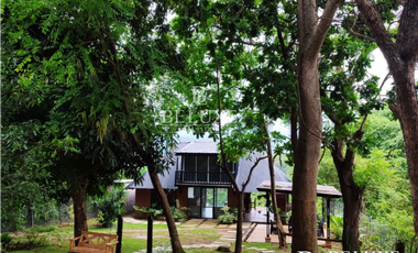 VENTA DE FINCA EN BUENOS AIRES, PANAMA OESTE (6)