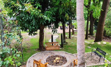 VENTA DE FINCA EN BUENOS AIRES, PANAMA OESTE (6)