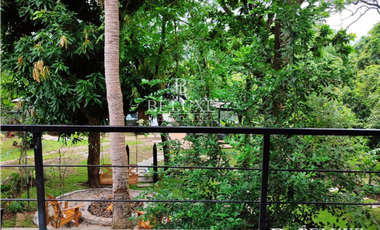 VENTA DE FINCA EN BUENOS AIRES, PANAMA OESTE (6)