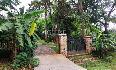 VENTA DE FINCA EN BUENOS AIRES, PANAMA OESTE (6)