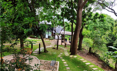 VENTA DE FINCA EN BUENOS AIRES, PANAMA OESTE (6)