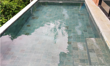 VENTA DE FINCA EN BUENOS AIRES, PANAMA OESTE (6)