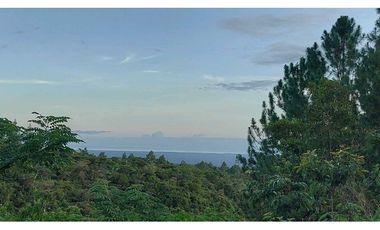 VENTA DE TERRENO POTENCIAL INVERSION  TURSTICA VA EL VALLE DE ANTON