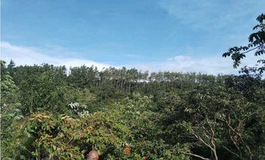 VENTA DE TERRENO POTENCIAL INVERSION  TURSTICA VA EL VALLE DE ANTON