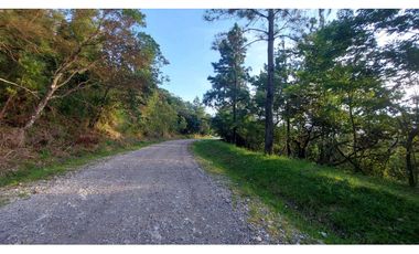 VENTA DE TERRENO POTENCIAL INVERSION  TURSTICA VA EL VALLE DE ANTON