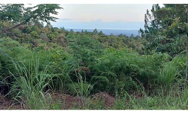 VENTA DE TERRENO POTENCIAL INVERSION  TURSTICA VA EL VALLE DE ANTON