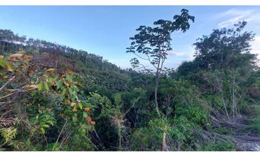 VENTA DE TERRENO POTENCIAL INVERSION  TURSTICA VA EL VALLE DE ANTON