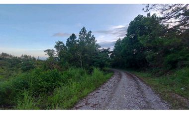 VENTA DE TERRENO POTENCIAL INVERSION  TURSTICA VA EL VALLE DE ANTON