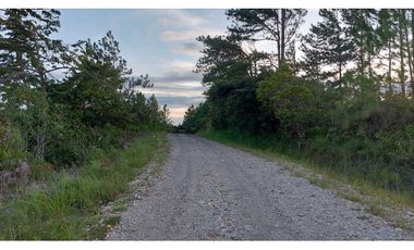 VENTA DE TERRENO POTENCIAL INVERSION  TURSTICA VA EL VALLE DE ANTON