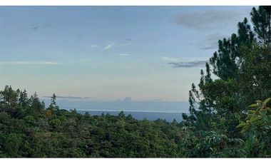 VENTA DE TERRENO POTENCIAL INVERSION  TURSTICA VA EL VALLE DE ANTON